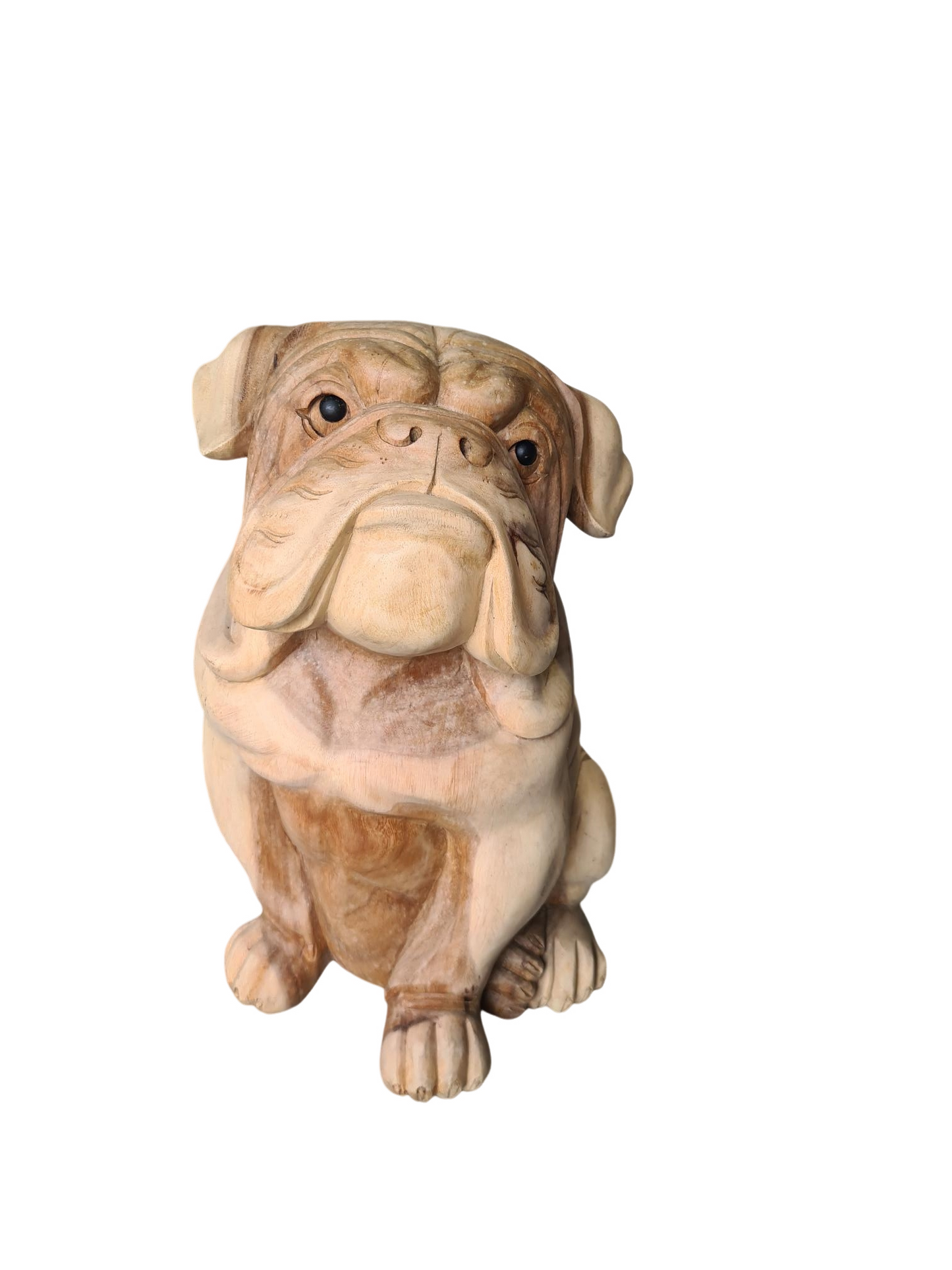 CHIEN ASSIS