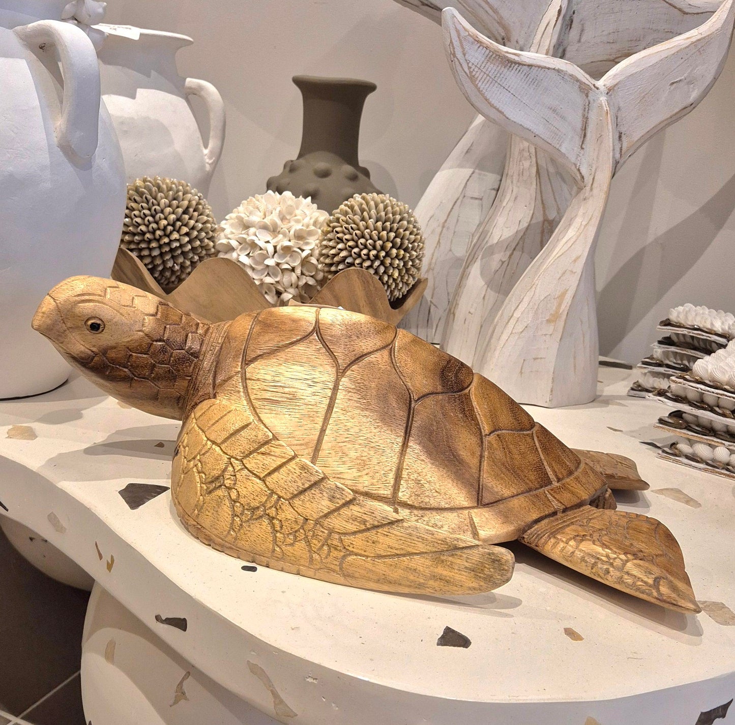 TORTUE TECK