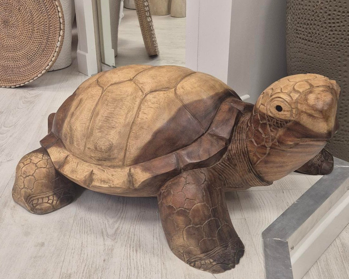 TORTUE GEANT TECK