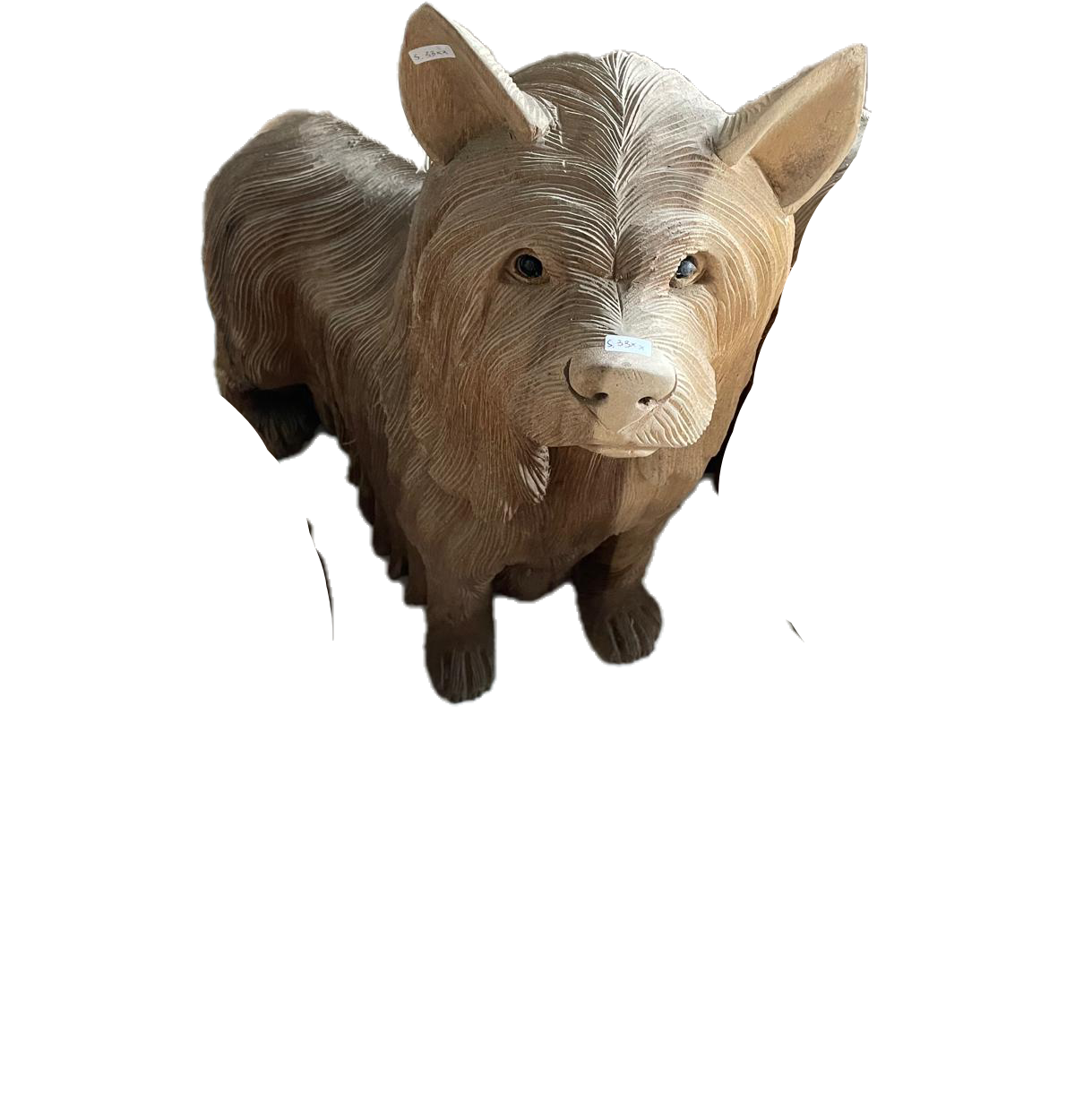 CHIEN EN TECK
