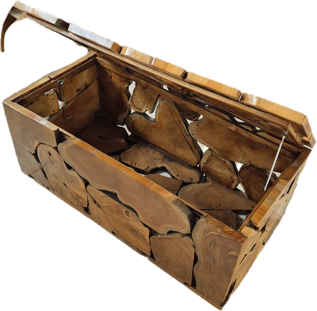 TABLE BASSE COFFRE