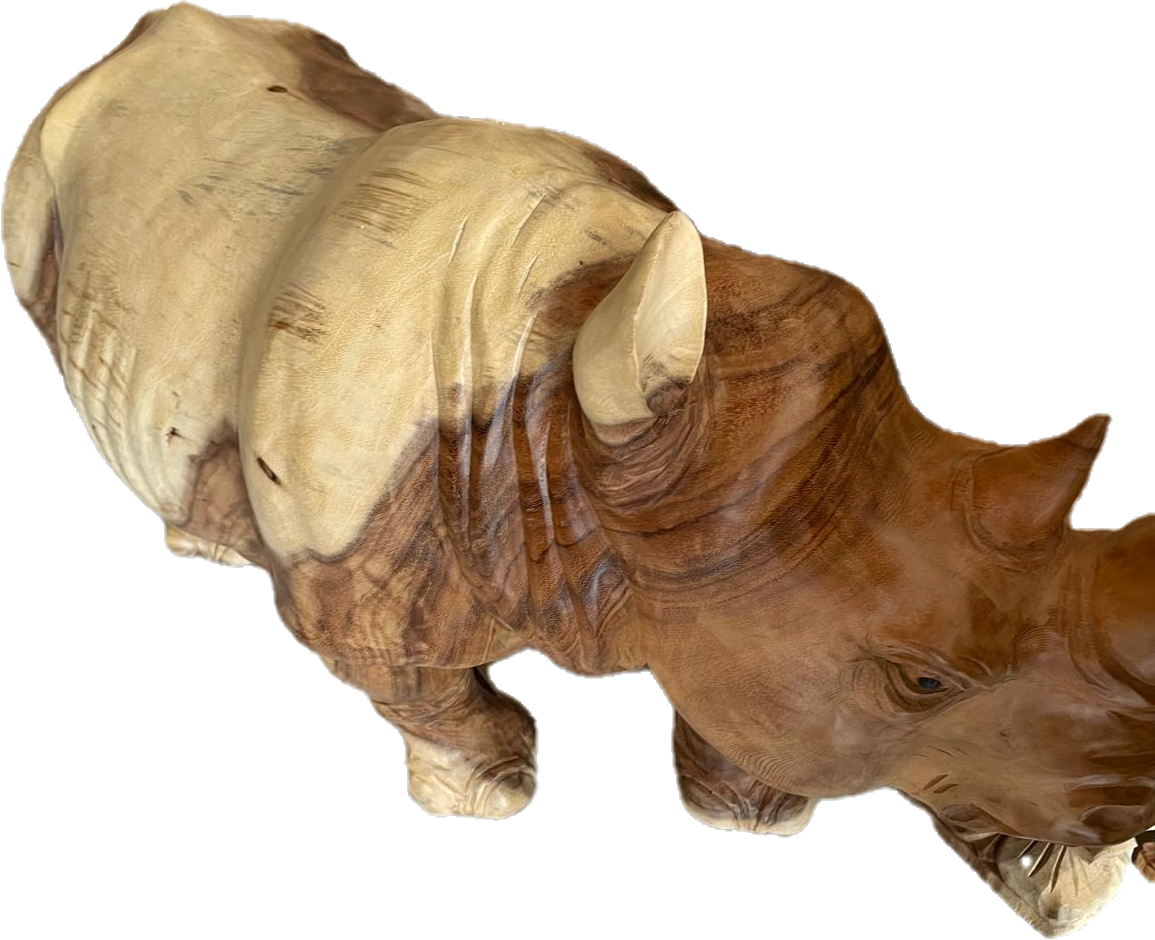 RHINOCEROS TECK