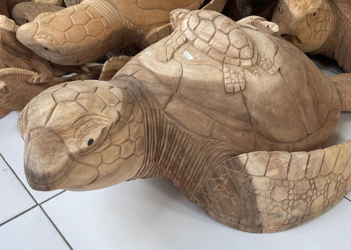 TORTUE AVEC SON PETIT