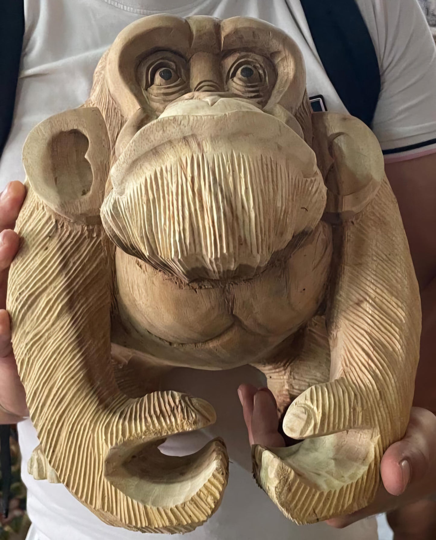 SINGE EN TECK