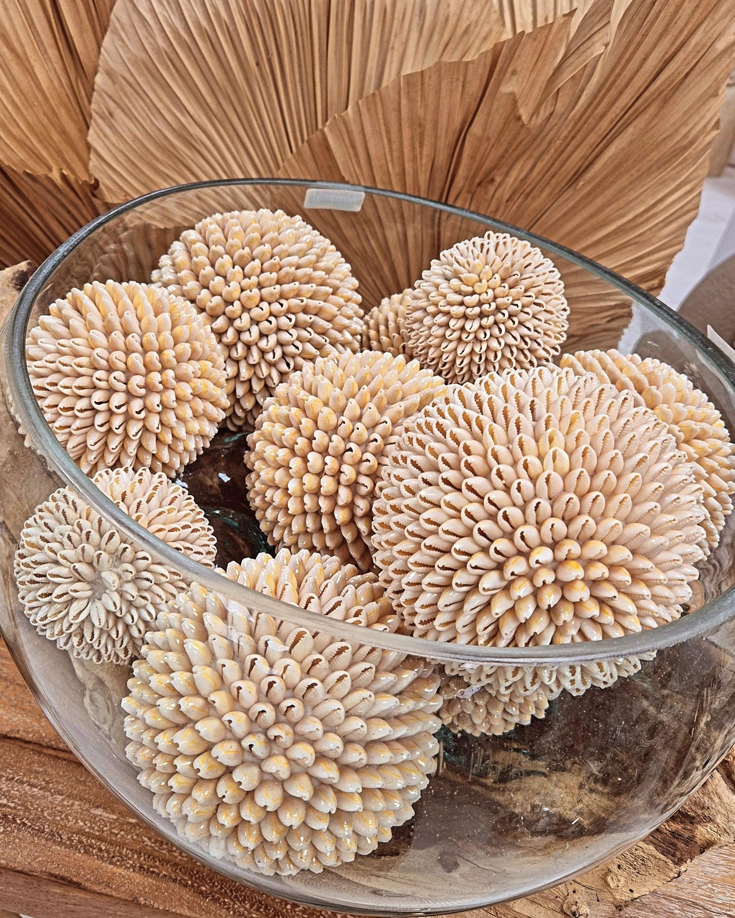 LOT 3 BOULES COQUILLAGES