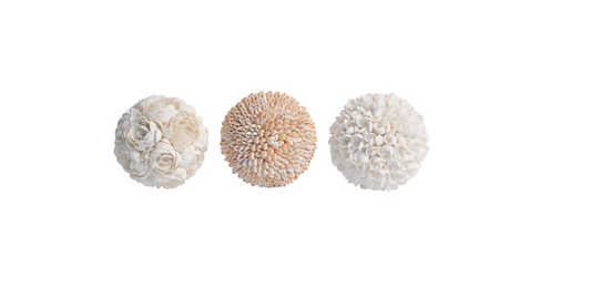 BOULE COQUILLAGES