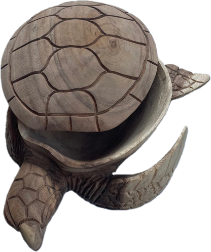 BOITE EN TECK TORTUE