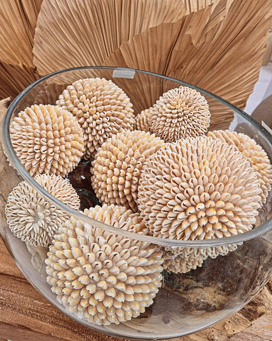 LOT 3 BOULES COQUILLAGES
